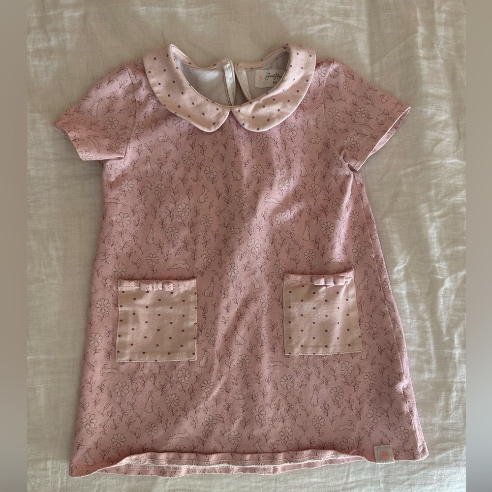 Sweethoney little girls dress